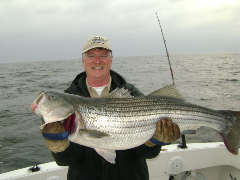TWT Fishing Charters Big Fish Caught on the Chesapeake Bay