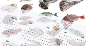 Fishing All Year Round calendar with different fish