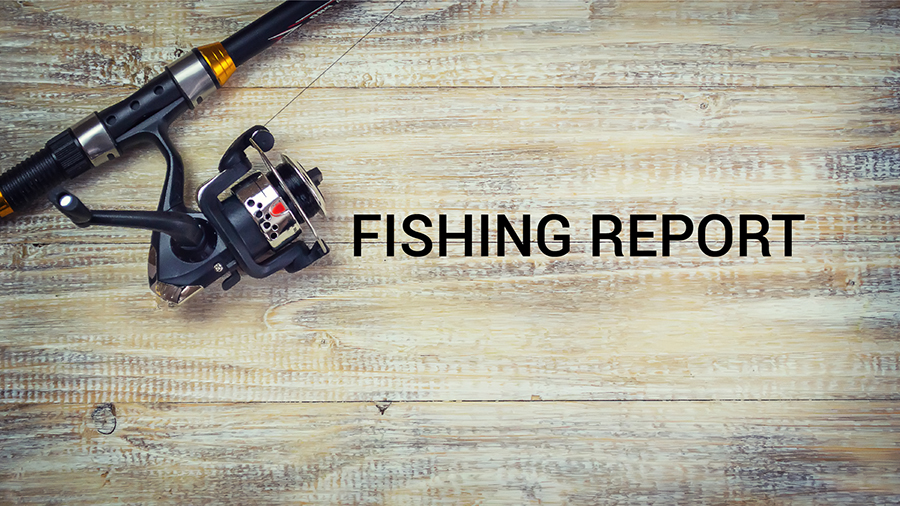 Fishing Report Blog Post